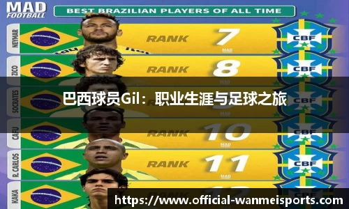 完美体育公司