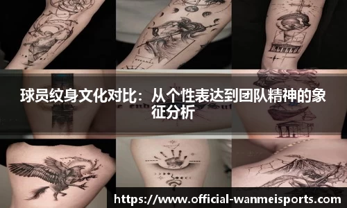 完美体育公司